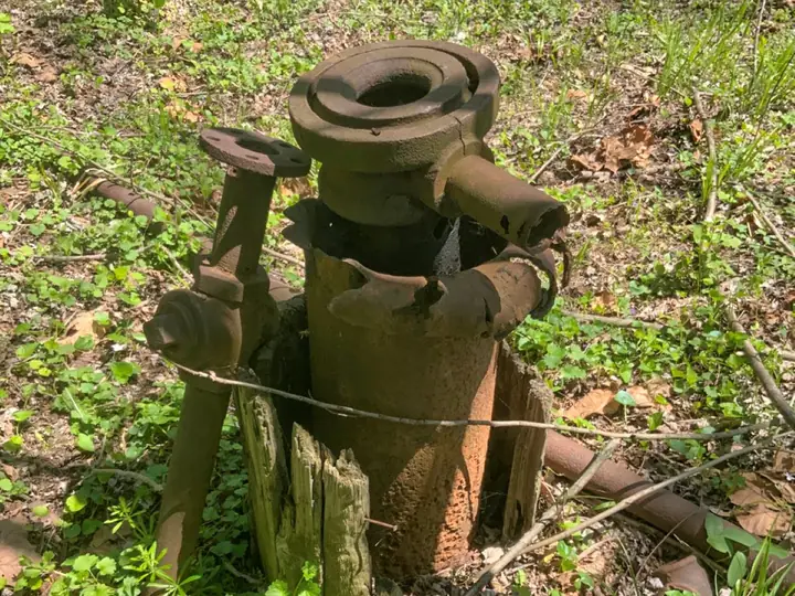 A rusted, corroded wellhead and cut-off casing with a wooden surround, overgrown by green plants on a forest floor.